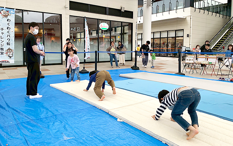 トレーニング（アニマルウォーク）