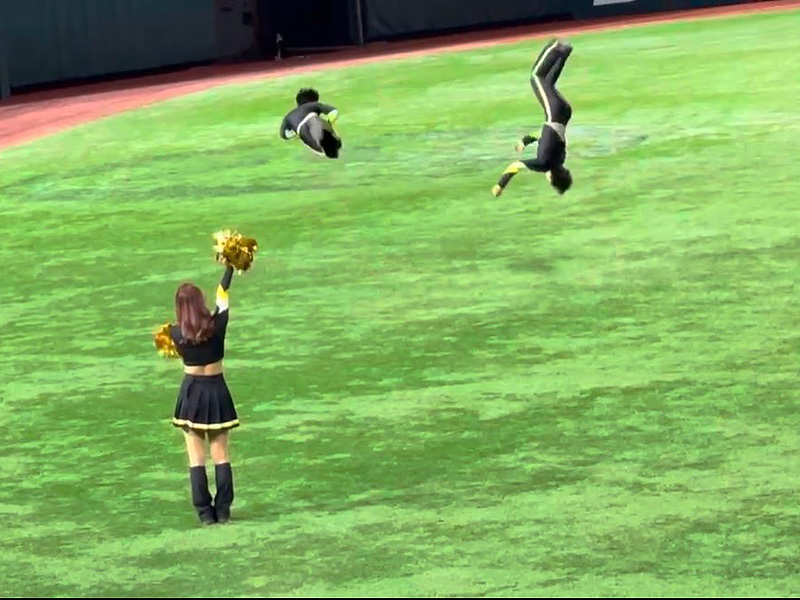 福岡ソフトバンクホークス HONEYS