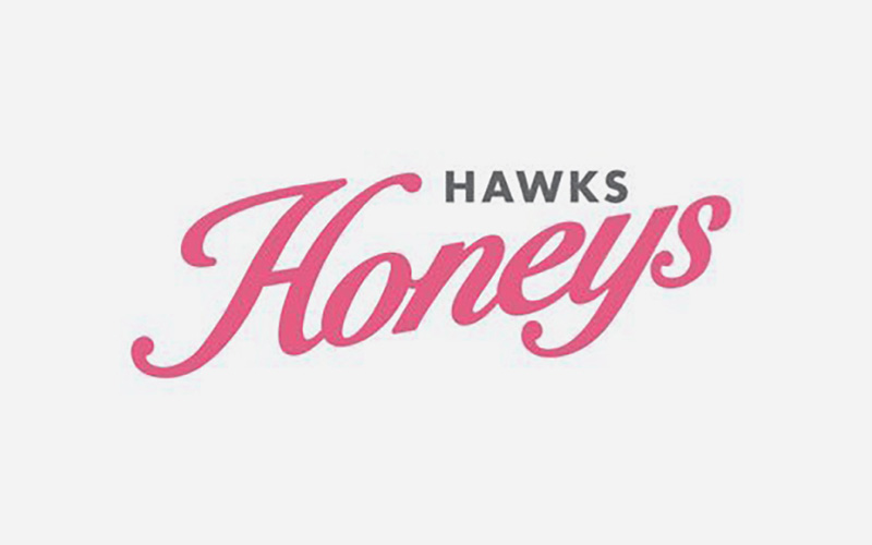 福岡ソフトバンクホークス HONEYS