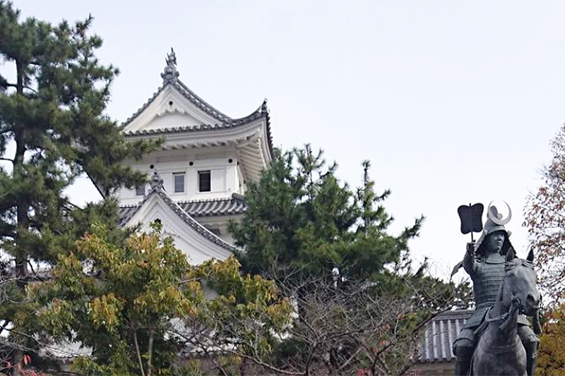 岐阜県 大垣城忍者ショー