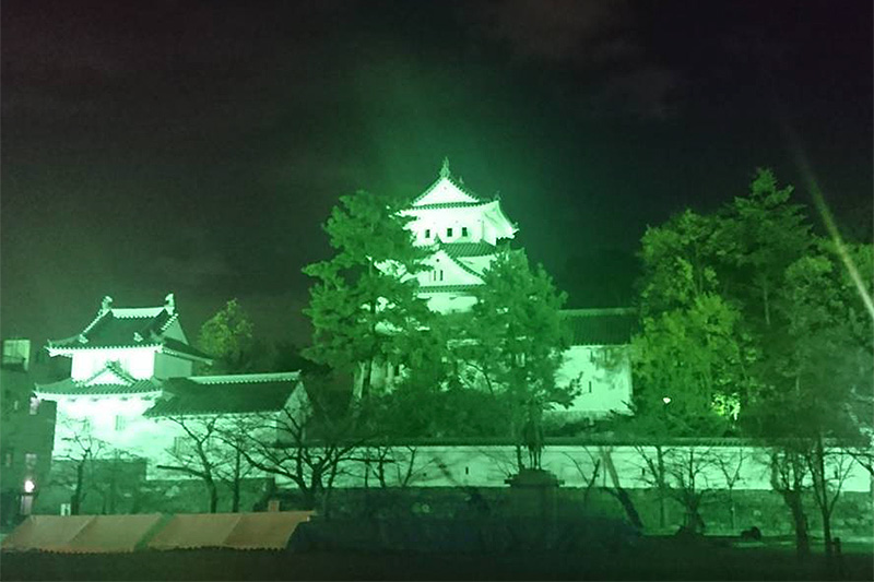 岐阜県 大垣城忍者ショー