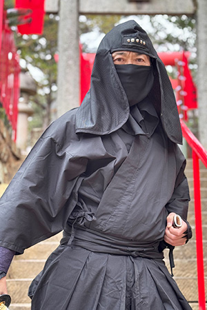 武智 英明