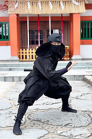 武智 英明